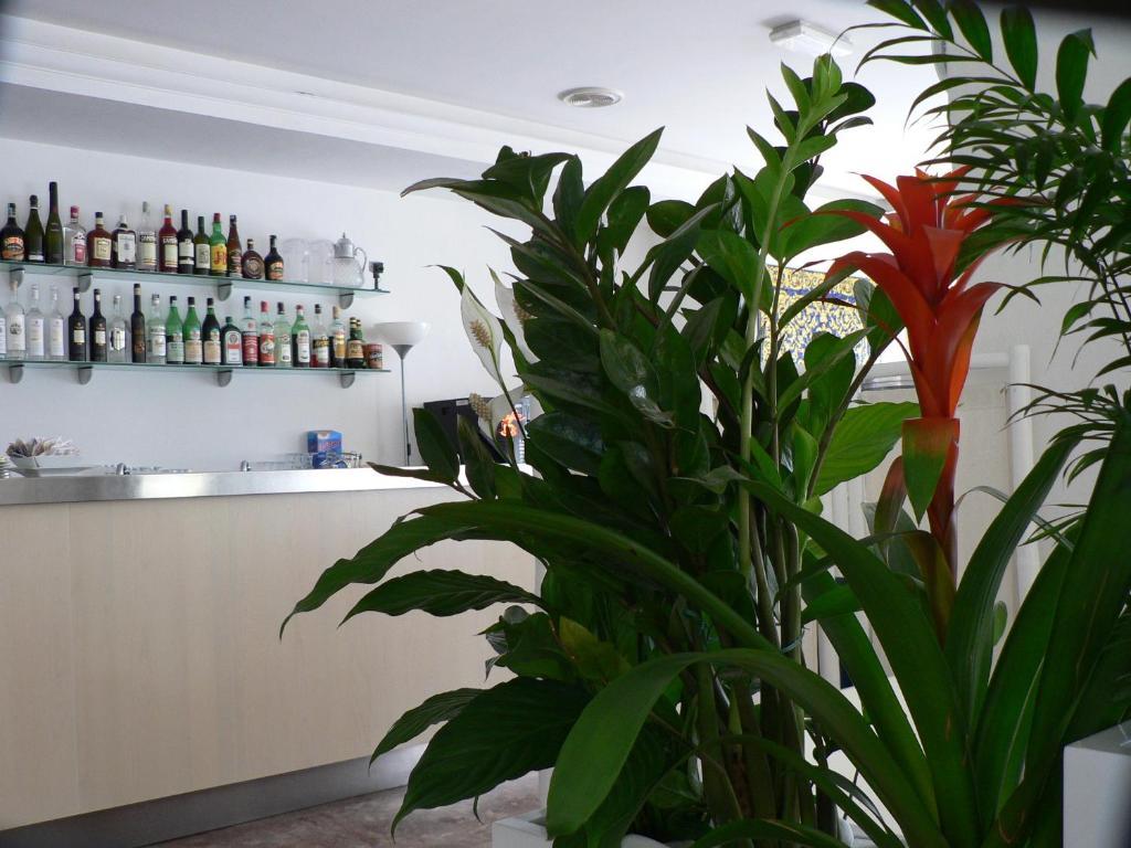Hotel Haiti Milano Marittima Ngoại thất bức ảnh
